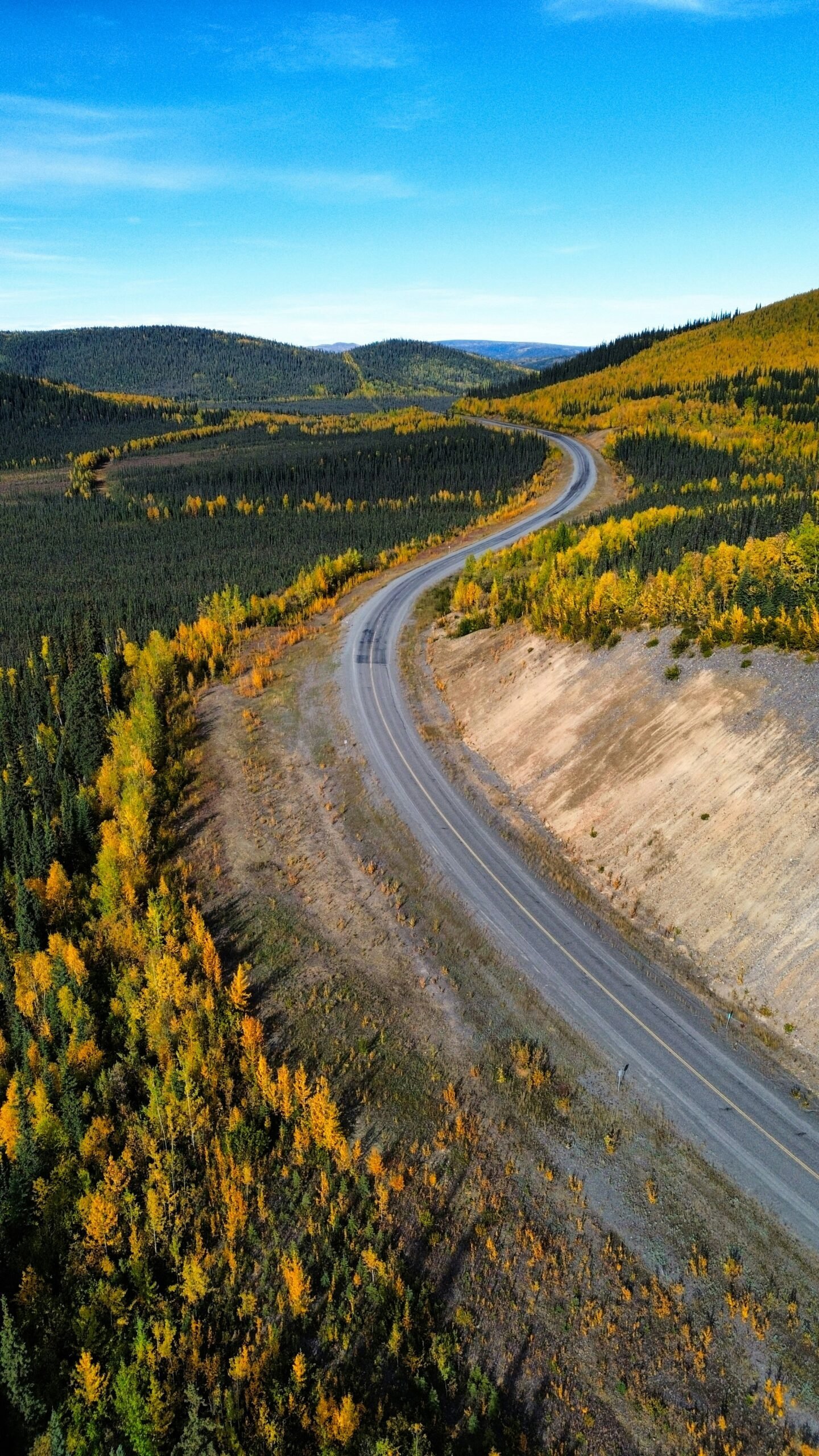 a winding road in the middle of a forest